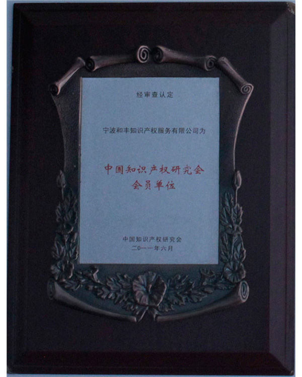 中国知识产权研究会员单位